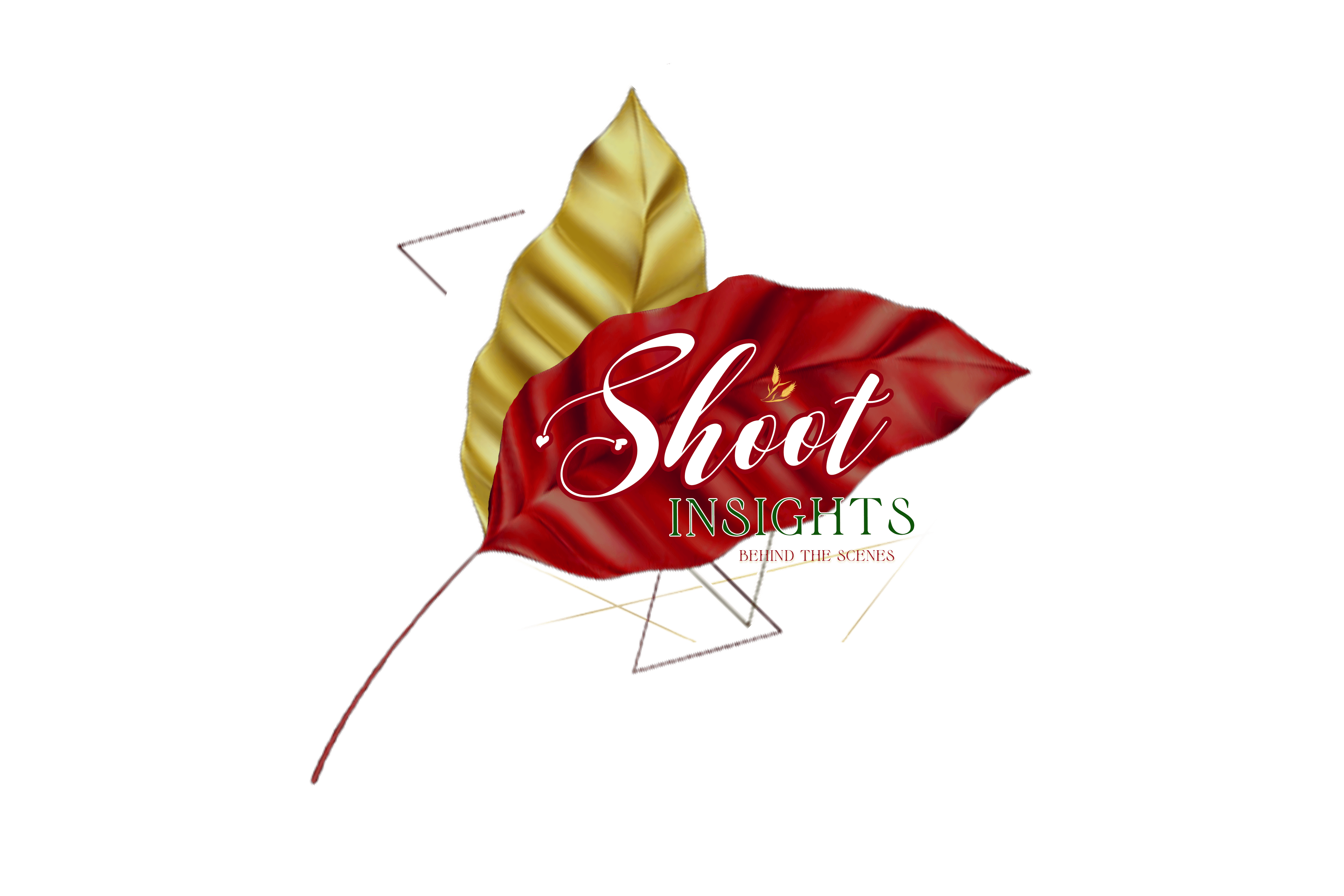 Shoot Insights Logo